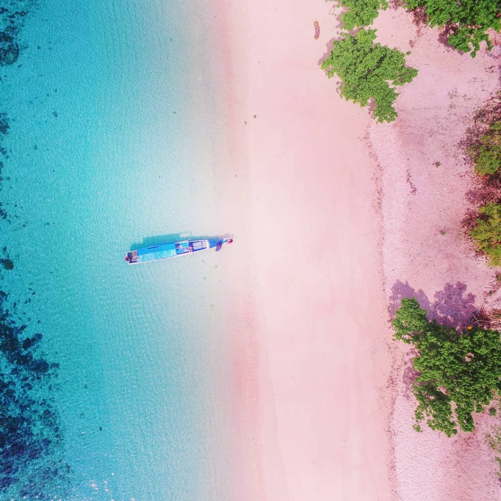 Pantai Berpasir Pink Pulau Komodo, Image By : @tix_travel