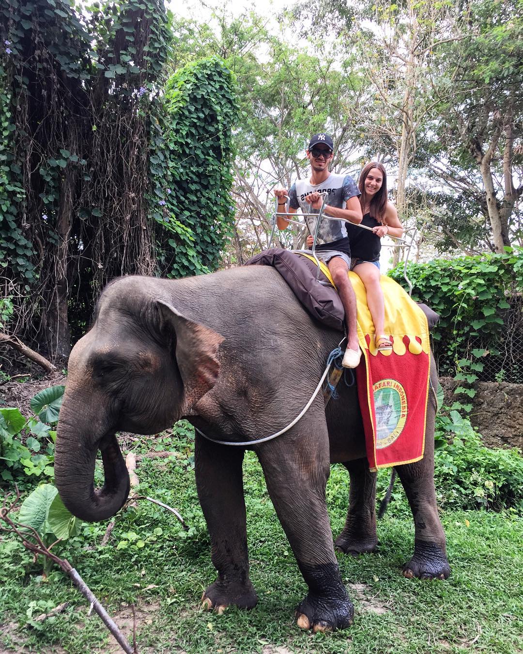 Naik Gajah di Bali Safari