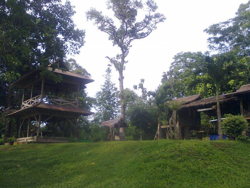 Rumah Hutan Serang, Image By IG : @mrendi423