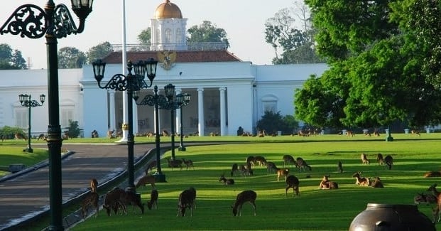 Istana Bogor tempat wisata bogor dekat stasiun, Image By IG : @seasiaig