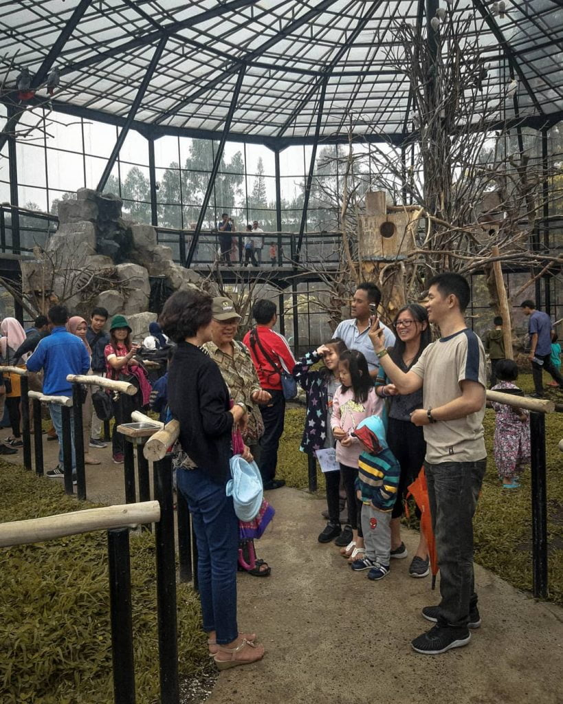 Foto Bersama Hewan di Lembang Park and Zoo
