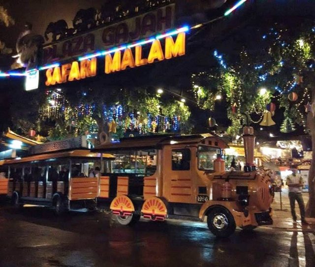 taman safari malam review