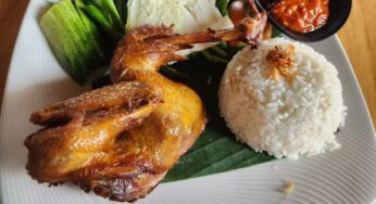 Resep Ayam Kalasan Sederhana, Bisa Digoreng Kapan Saja atau Untuk Stok!