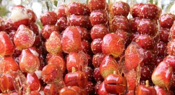 Resep Tanghulu Anti Gagal, Bisa Menggunakan Aneka Buah!