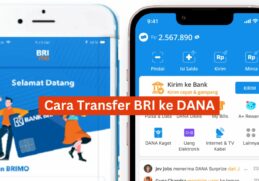 Cara Transfer BRI ke DANA