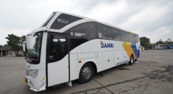 Rute Baru, Ini Harga Tiket dan Jadwal Damri Jakarta Palembang 2024