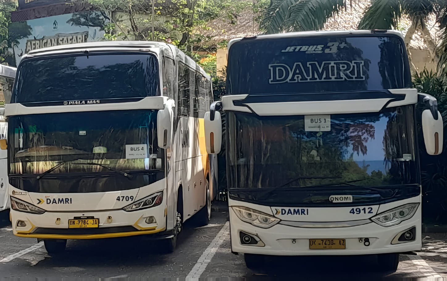 Jadwal Damri Jember Bali PP