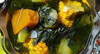 Resep Sayur Bening Daun Katuk Sederhana yang Mudah dan Praktis