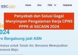 Ini Penyebab dan Solusi Gagal Menyimpan Pengalaman Kerja CPNS PPPK di SSCASN 2024