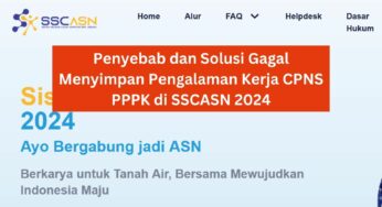 Ini Penyebab dan Solusi Gagal Menyimpan Pengalaman Kerja CPNS PPPK di SSCASN 2024