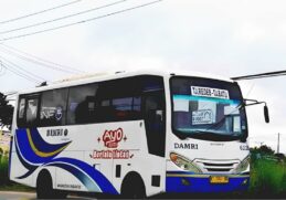 Harga Tiket dan jadwal Damri Berwisata ke kepulauan Derawan Bisa Naik Perintis Damri Hanya 50 Ribu_11zon