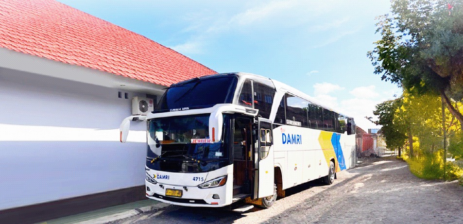 Jadwal Damri Bali Jember PP 2024